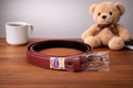 Kids Leather Belt (Wine)