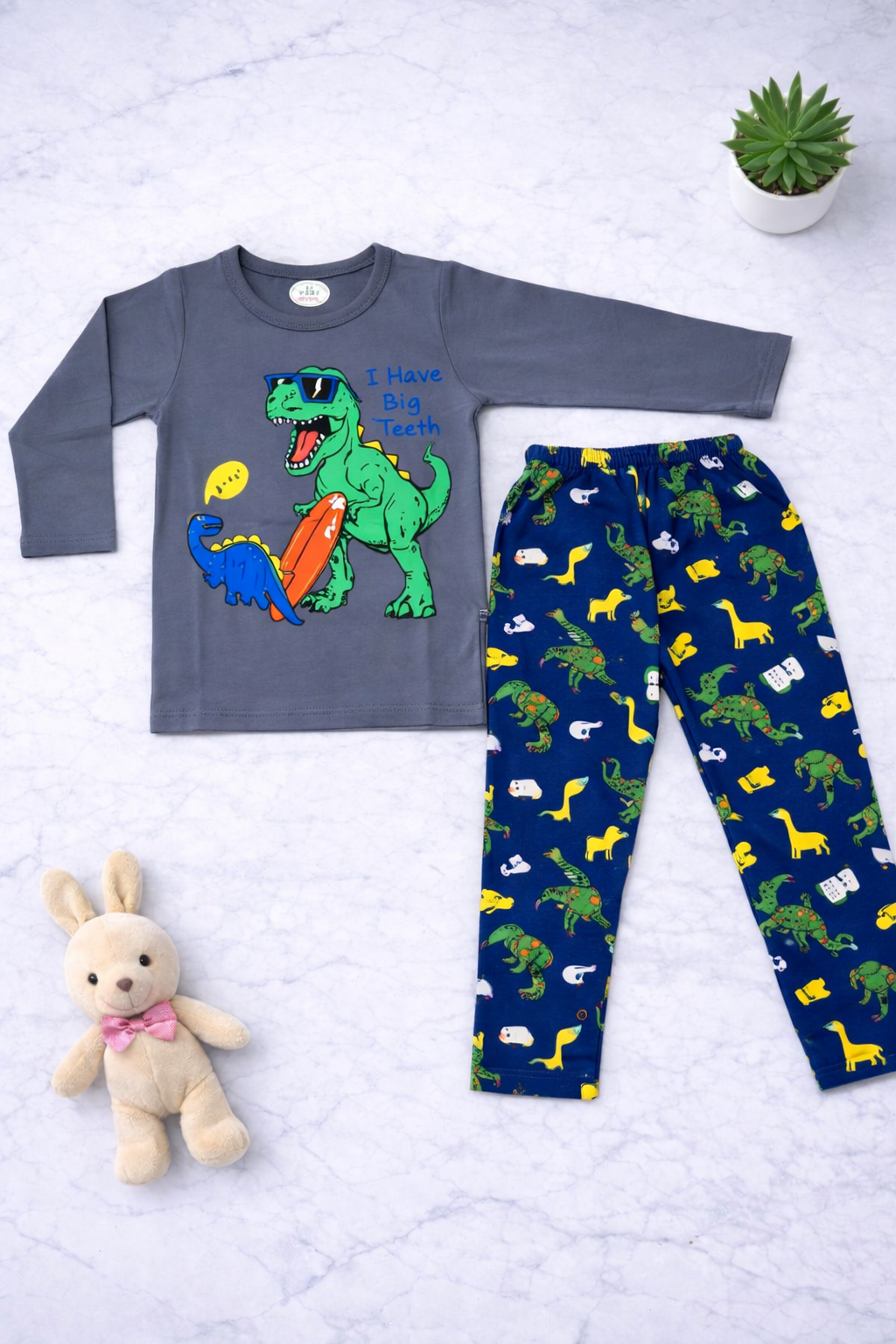 Boys 2pcs Dinosaur design (Grey & Blue)