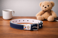 Kids Leather Belt for Boys (Blue)